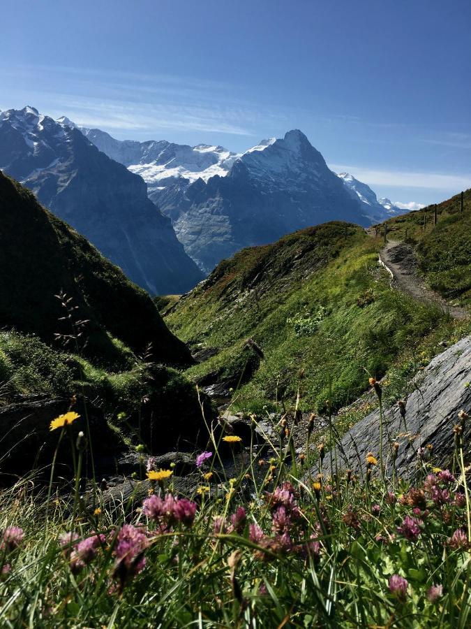 Ferienwohnung Silberhorn Grindelwald Exterior foto